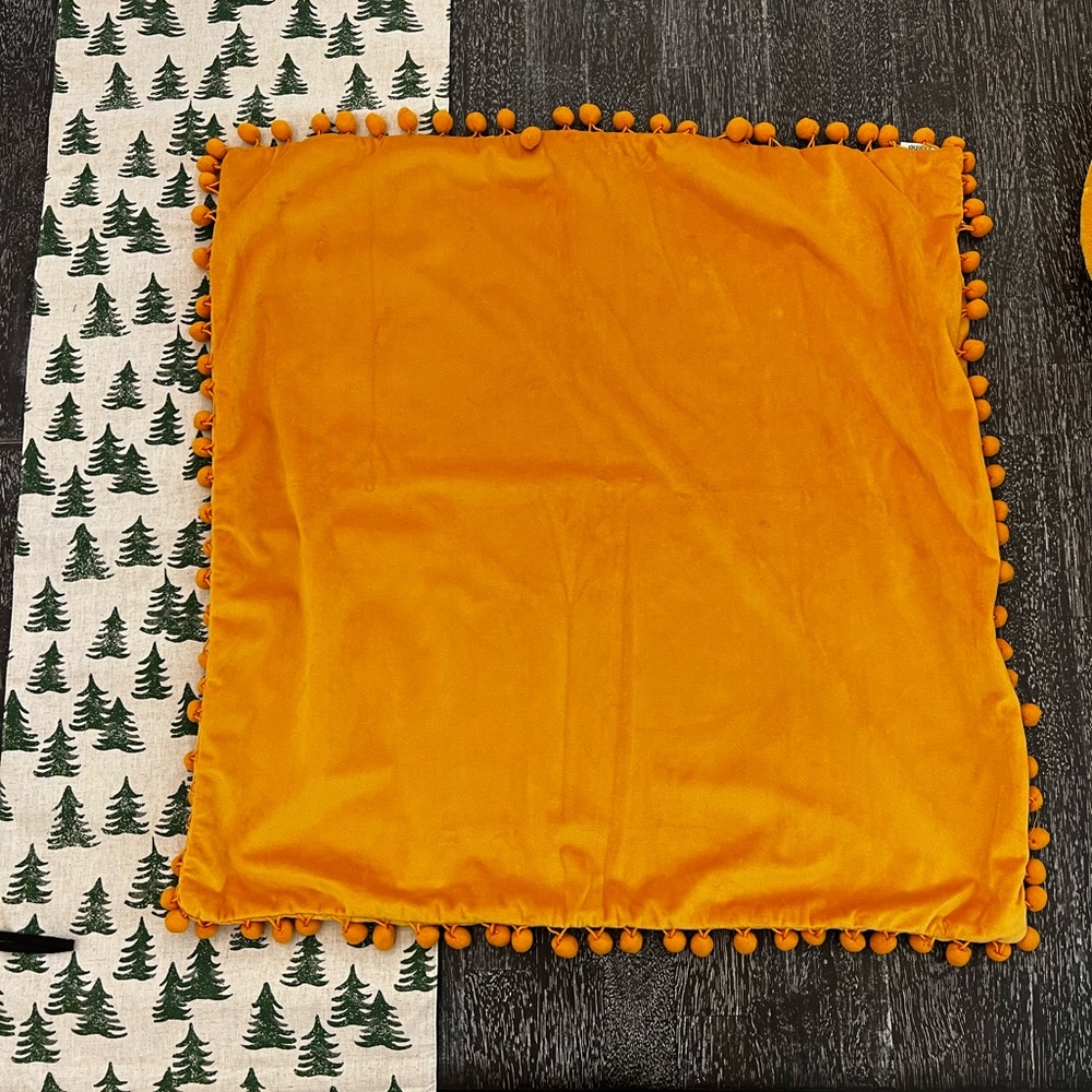 Set of 4 26x26 Velvet Throws with pompoms-cases only